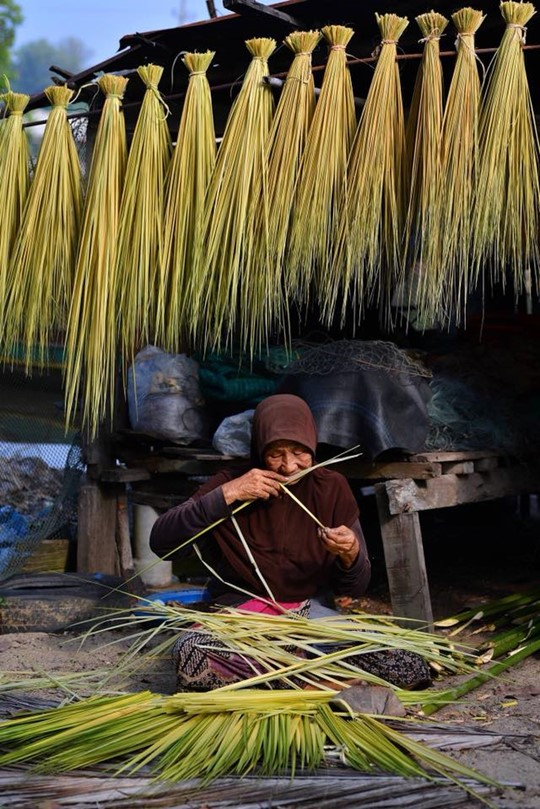 การลอกใบจาก อาชีพสำคัญของชาวชุมชนบางน้อย-ท่าพรุ 
