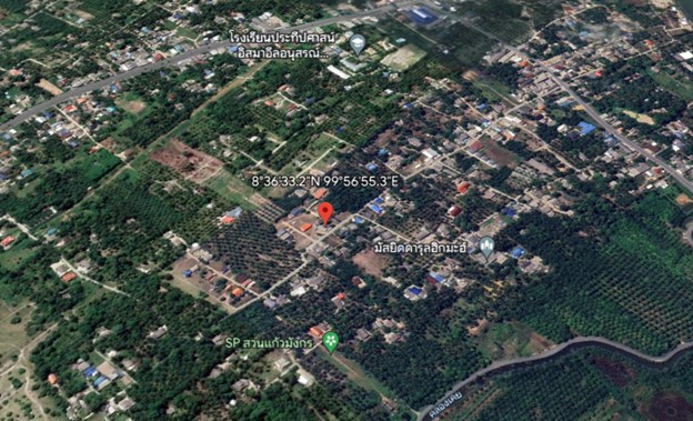 แผนที่แสดงพิกัดที่ตั้งและลักษณะทางกายภาพบ้านบางตง
(ที่มา : Google Earth)