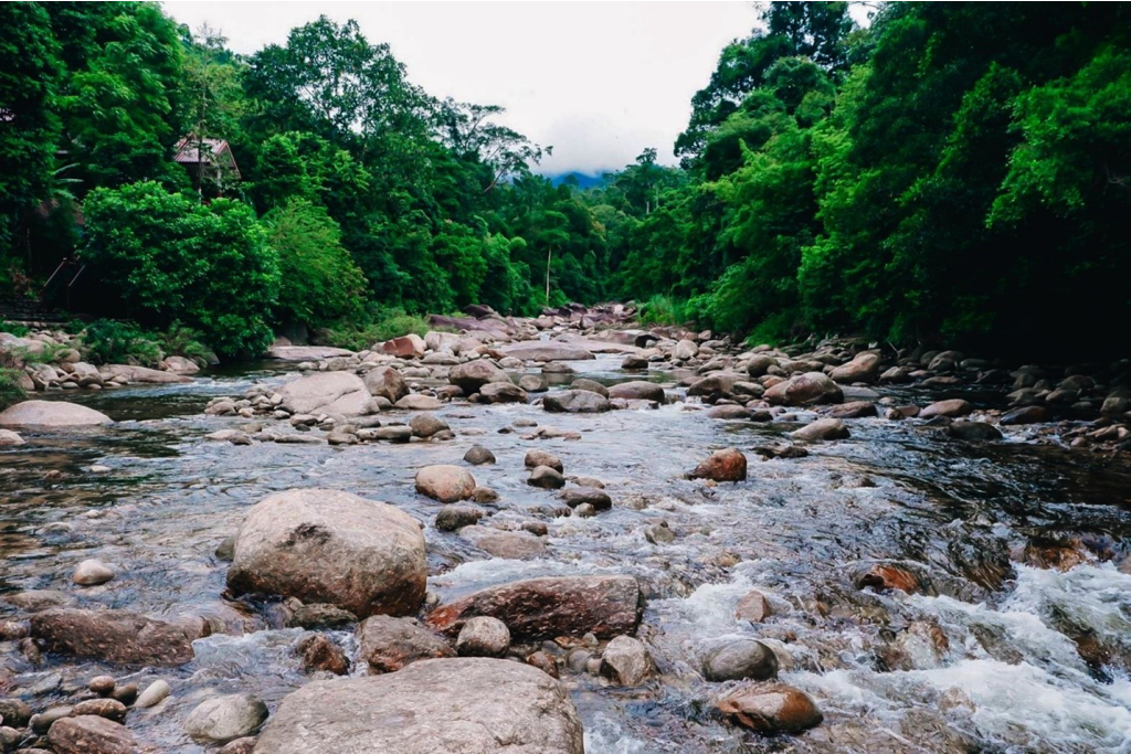 ลำธารธรรมชาติในหมู่บ้าน
(ที่มา&nbsp;: kapook, 2564 : ออนไลน์)