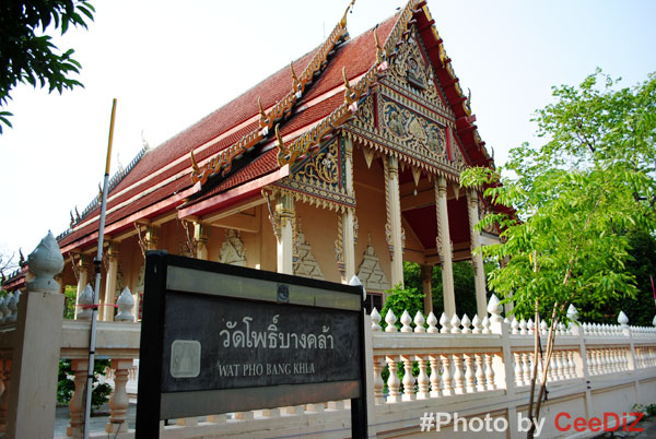 วิหารเก่าแก่วัดโพธิ์บางคล้า (ที่มา : ceediz.com)
