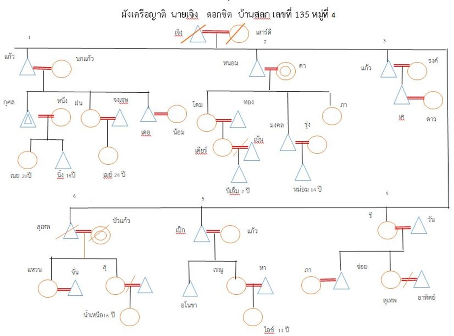 ผังเครือญาต นายเจิง ดอกชิด