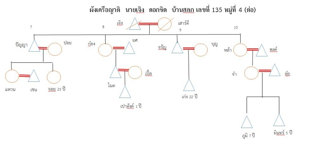 ผังเครือญาติ นายเจิง ดอกชิด
