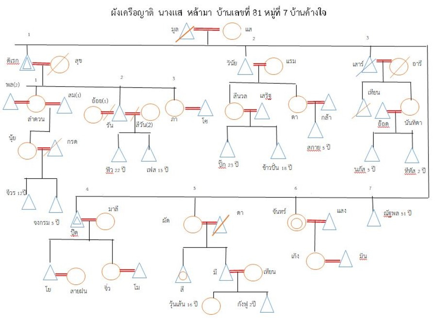 ผังเครือญาตินางแส หล้ามา