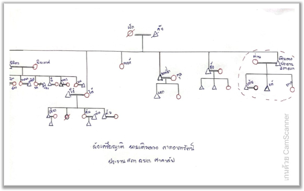 ผังเครือญาติ นายเดติมดวง ลาภอาภารัตน์