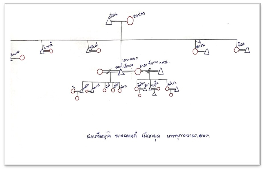 ผังเครือญาติ นายณรงค์&nbsp; เผือกผุด