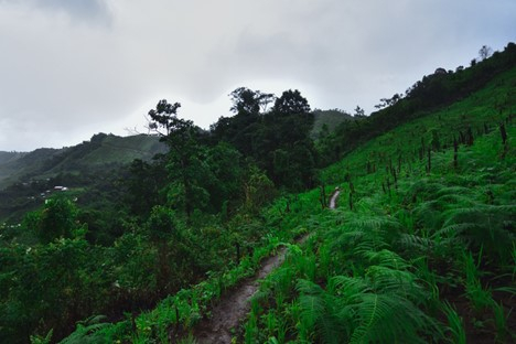 พื้นที่สวนหลังบ้าน (ที่มา : ไม่กี่บาทBackpacker, 2563)
