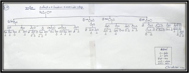 ผังเครือญาติ