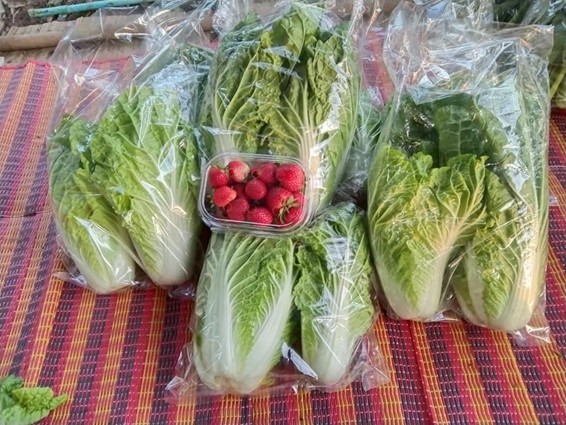 ผลผลิตจากแปลงเกษตรอินทรีย์ของชาวบ้านก่อก๋วง (ที่มา
: บ้านผัก บนดอยก๋วง, 2563)