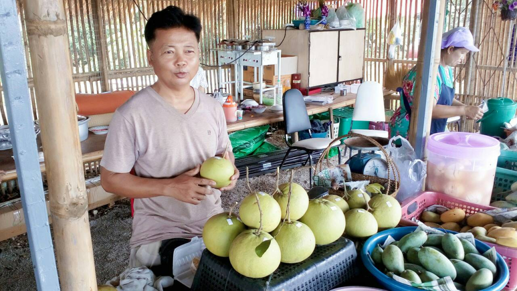 ผลไม้ในตลาดชุมชน (ที่มา : สำนักงานพัฒนาชุมชนอำเภอภาชี, 2560)
