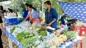 ผลผลิตทางการเกษตร (ที่มา : สำนักงานพัฒนาชุมชนอำเภอภาชี, 2560)