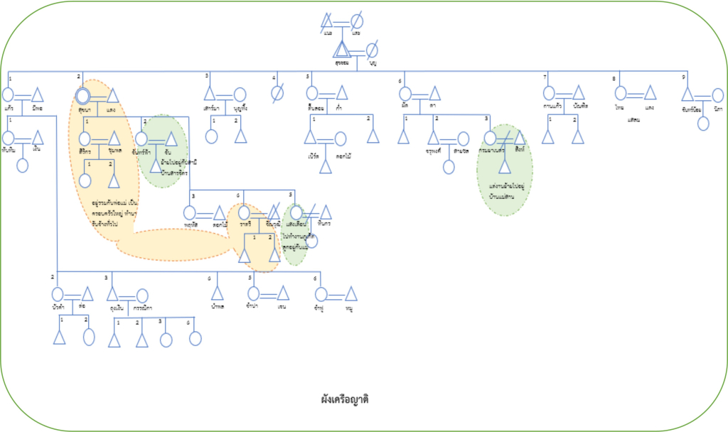 ภาพที่ 4 ผังเครือญาติ