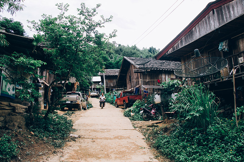 หมู่บ้านแม่หมีใน