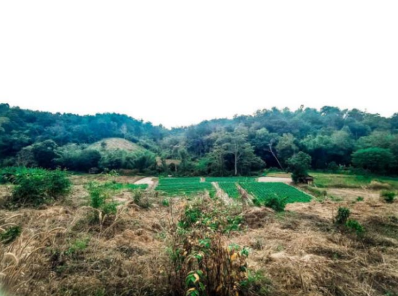 พื้นที่ทำการเกษตร (ที่มา : วัชรากร, 2563)