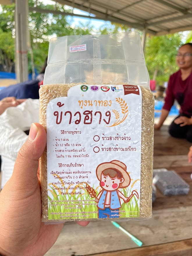 ข้าวฮางทุ่งนาทอง