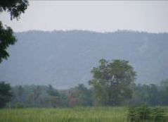 สภาพพื้นที่บ้านหนองไทร
(ที่มา : องค์การบริหารส่วนตำบลเขาชายธง)