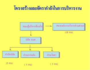 การจัดการโครงสร้างและอัตรากำลัง
(ที่มา : องค์การบริหารส่วนตำบลเขาชายธง)