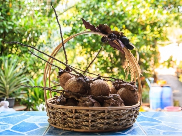 สินค้าประดิษฐ์จากศูนย์ otop กลุ่มพัฒนาสตรีและอาชีพ, แม่บ้านเกษตร
(ที่มา : องค์การบริหารส่วนตำบลบางกอบัว)