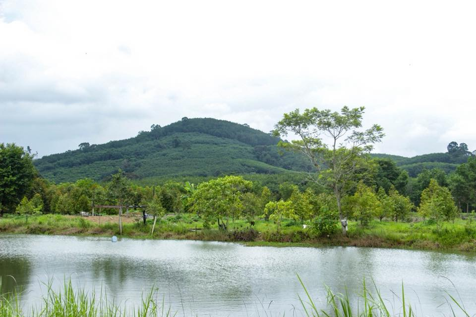 บรรยากาศบ้านคลองเวฬุ
(ที่มา : About Chan magazine, 2559)