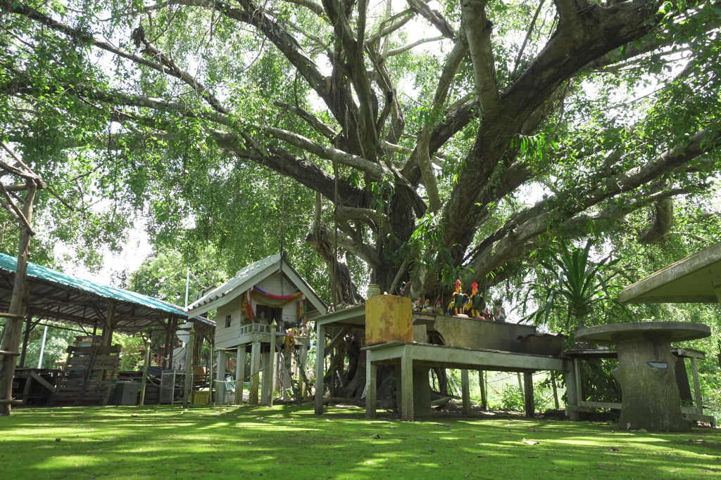 บริเวณศาลเจ้าพ่อหลวงราช
(ที่มา : นวนุรักษ์, ม.ป.ป.)