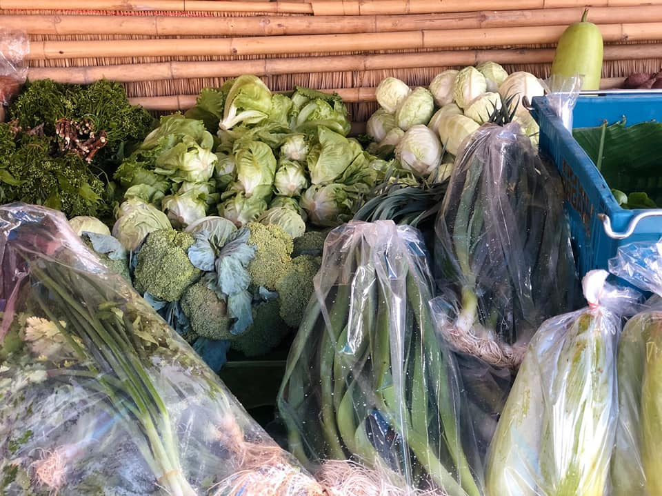 ผักต่าง ๆ ที่ได้จากสวนเกษตรอินทรีย์ของชาวบ้าน
(ที่มา : บ้านสุขสมบูรณ์ วังน้ำเขียว, 2563)