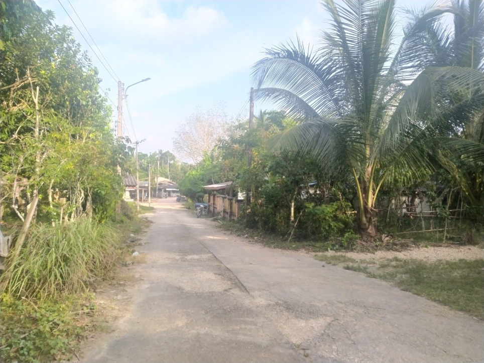 ถนนภายในชุมชน (ที่มา : อับดุลเลาะ รือสะ, 2566)