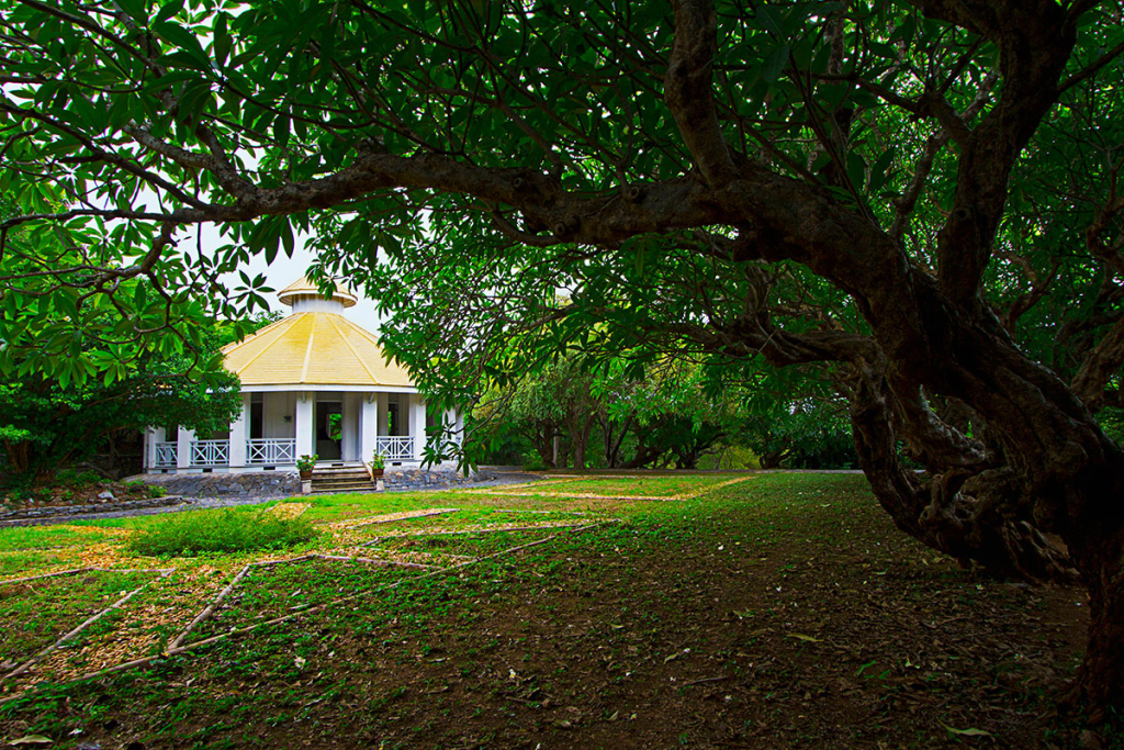 เรืองผ่องศรี (ที่มา : สำนักบริหารศิลปวัฒนธรรม จุฬาลงกรณ์มหาวิทยาลัย)