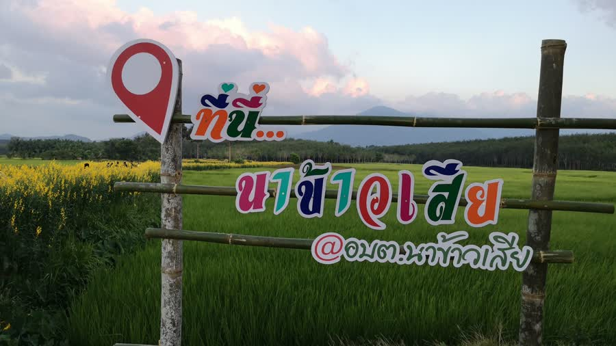 ภาพจุดเช็คอินแหล่งท่องเที่ยวตำบลนาข้าวเสีย ตำบลนาข้าวเสีย อำเภอนาโยง จังหวัดตรัง (ที่มา : วสันต์พรรษ จำเริญนุสิต, 2562)