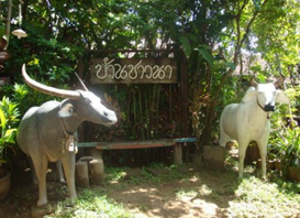 ภาพที่ 2 สภาพทั่วไปชุมชน(กมลทิพย์ ก้อนแก้ว และคณะ, 2560: )