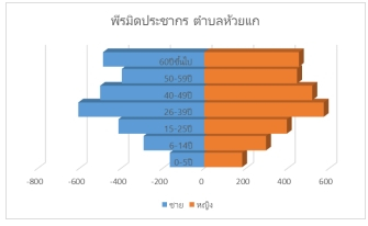 ภาพพีรามิดประชากรชุมชนบ้านห้วยแก 1ที่มา : จากการสำรวจของนักศึกษาวิทยาลัยพยาบาลบรมราชชนนี ขอนแก่น