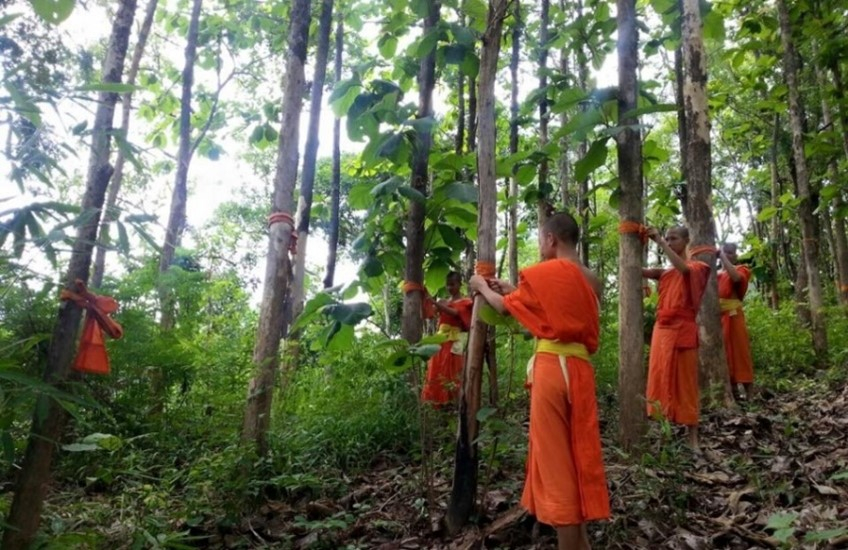 การบวชป่า (ที่มา : องค์การบริหารส่วนตำบลโป่งน้ำร้อน,
2560)