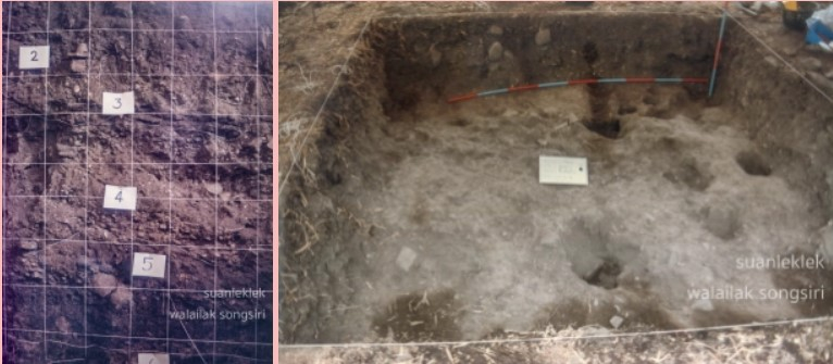 ภาพที่ 4 การขุดค้นทางโบราณคดีบริเวณยี่สาร (ที่มา: https://walailaksongsiri.com/2018/10/23/excavationatyisan/)